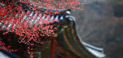 Korea Bundang expat family housing - Travel