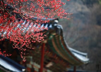 Korea Bundang expat family housing - Travel