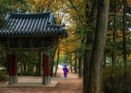 Korea hanok stay traditional house - Travel
