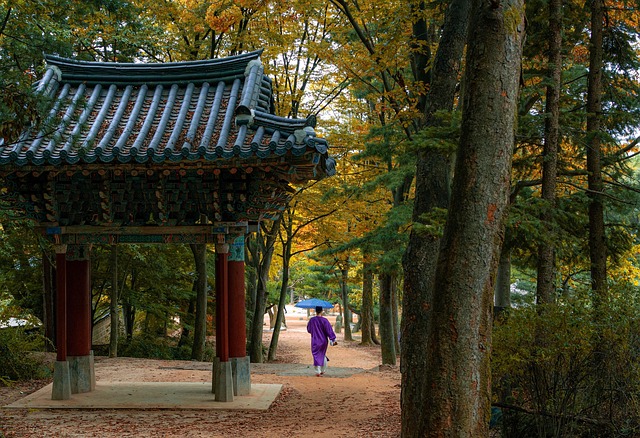 Korea hanok stay traditional house - Travel