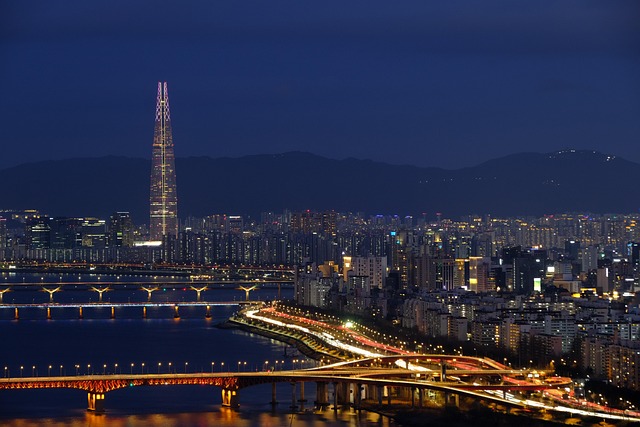 Korea short term apartment rental Seoul - Travel