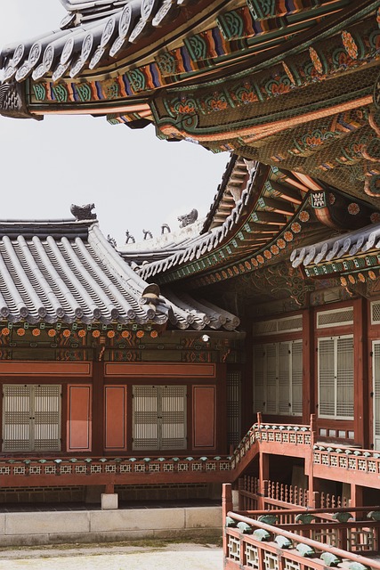 7 Essential Tips for Your Palace Pass Seoul Guide Experience