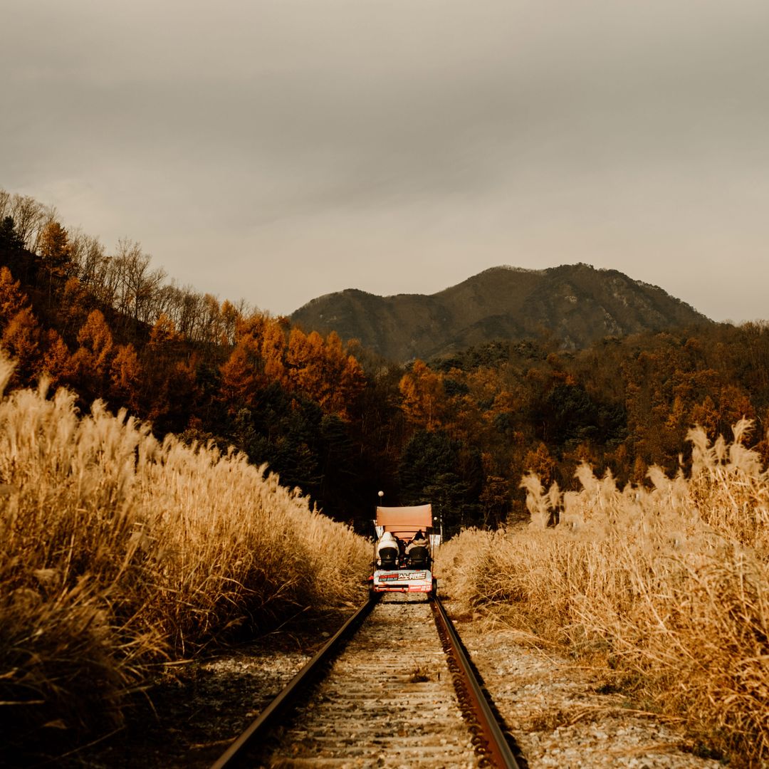 Optimizing Intercity Rail Travel and Regional Train Passes for Korea Autumn Exploration