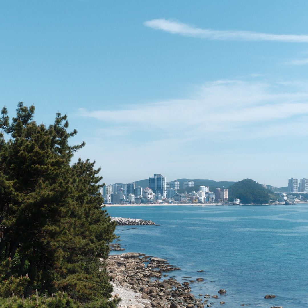 Public Transit Optimization for a Cost-Effective South Korea Budget Travel Itinerary